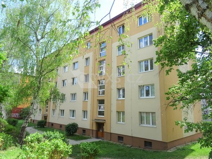 Prodej hezkého bytu  2+1, 52 m2 , ulice  Sněženková, Praha - Záběhlice - Fotka 10