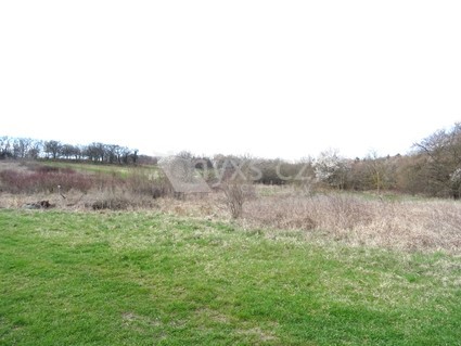 Pronájem hezkého pozemku 4859 m2 - louky, Svinařov - Smečno, okr. Kladno - Fotka 1