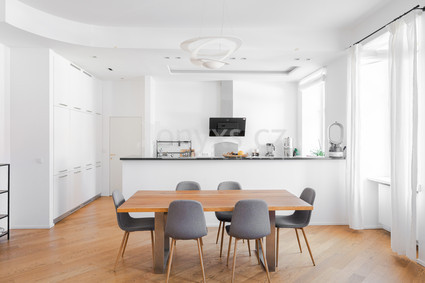 Pronájem bytu 5+kk, 169 m2 s balkonem a garáží, ul. Všehrdova, Praha - Malá Strana - Fotka 13