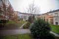 Fotka 12