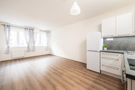 Pronájem bytu 1+kk, 33 m2, ul. Plzeňská,…